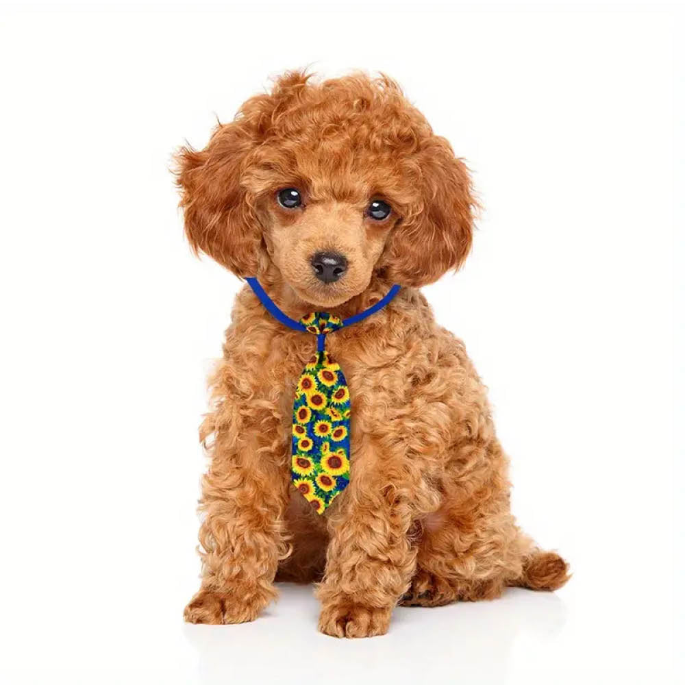 Pet Necktie - Sunflower / Summer Collection