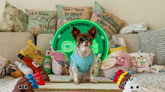 Only Magical Gifts - Pet Clothing