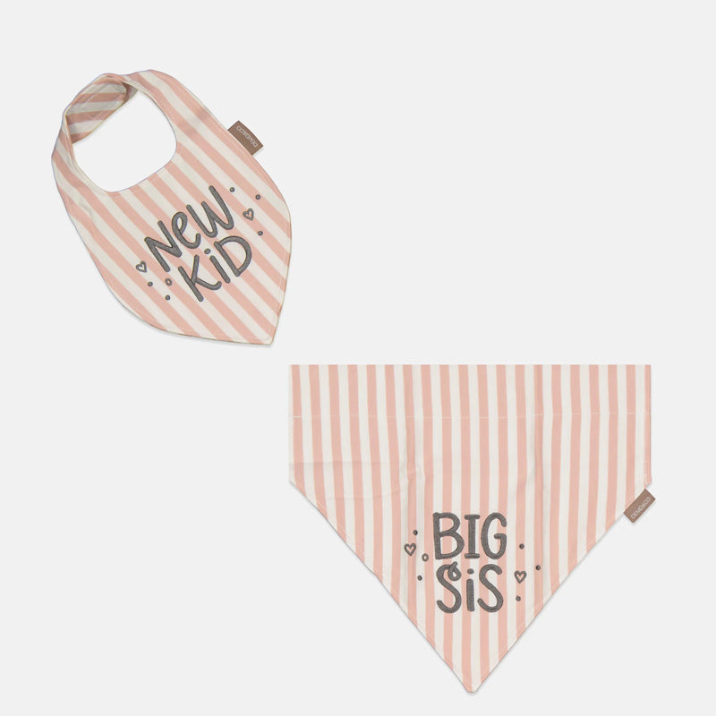 Stripe Bandana & Baby Bib