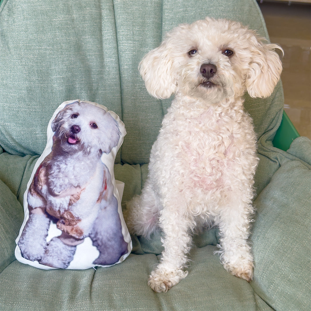 Personalized Pet Throw Pillow / Cushion