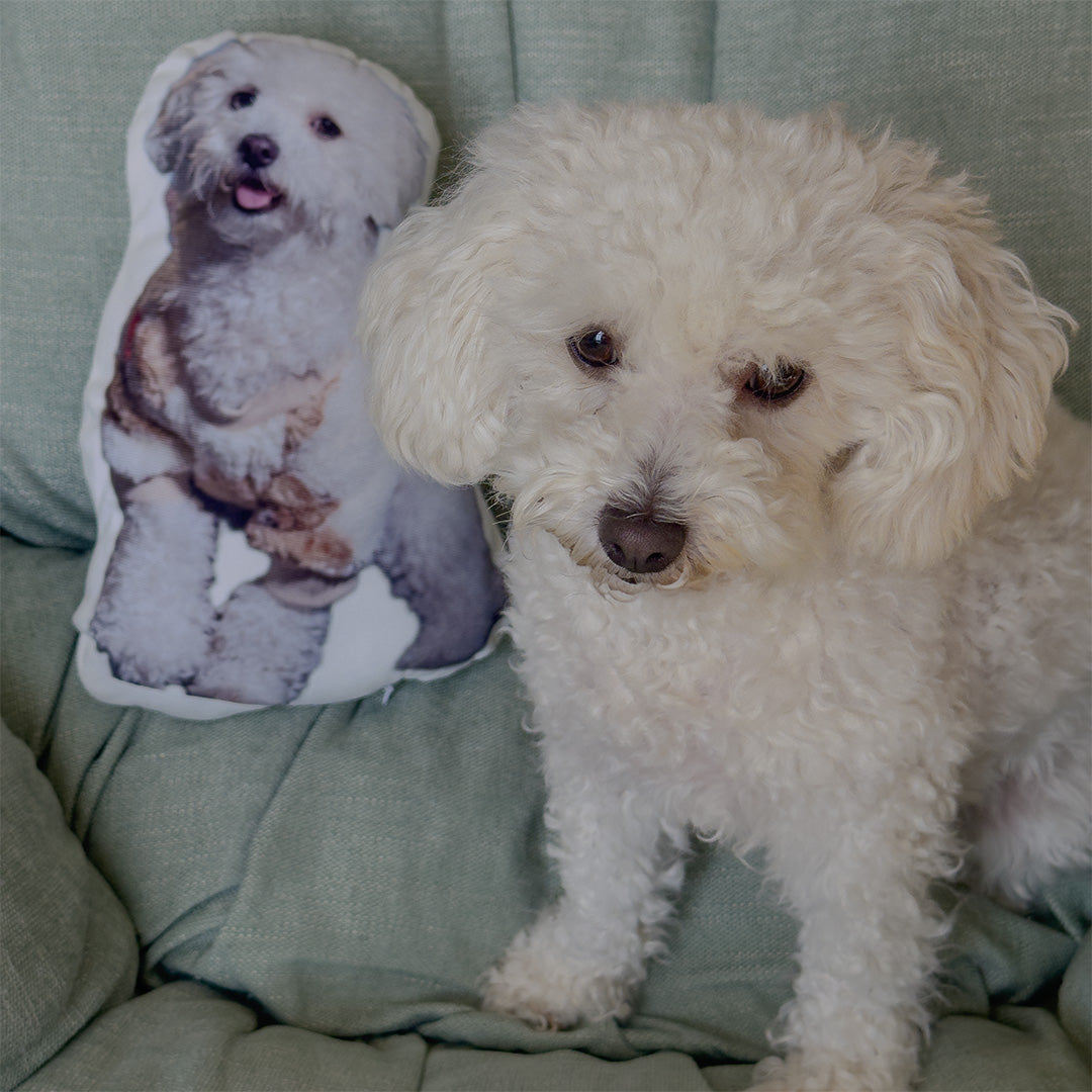 Personalized Pet Throw Pillow / Cushion