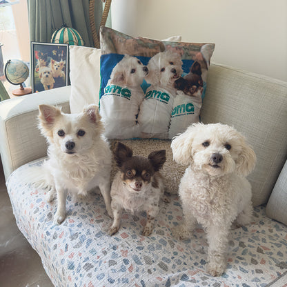 Personalized Pet Throw Pillow / Cushion Square