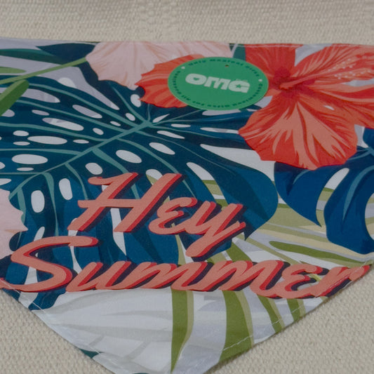 Summer Themed Pet Bandana / Scarf